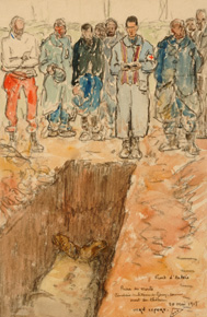 46